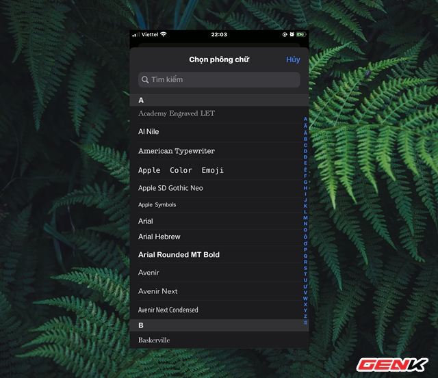 iOS 13: Cách cài và sử dụng Font chữ mới - Ảnh 12.