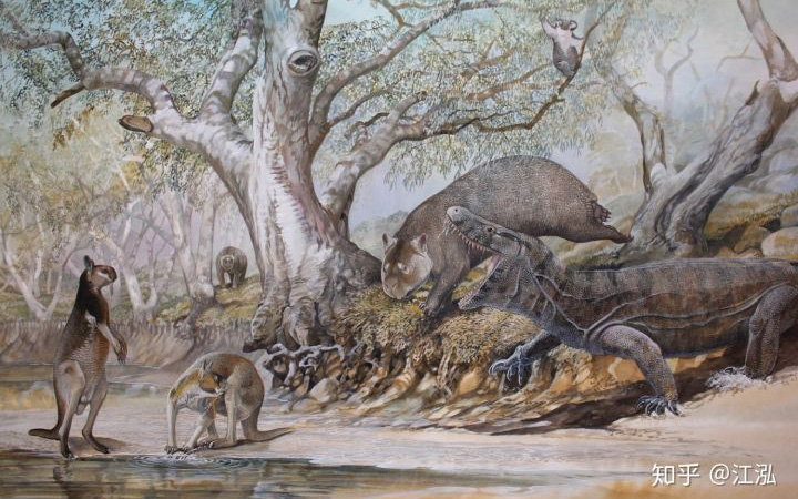 Các nhà khoa học tìm ra nguyên nhân thực sự của sự tuyệt chủng động vật khổng lồ ở Úc