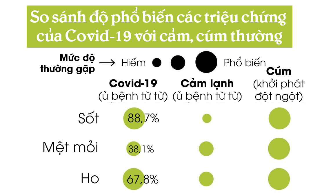 [Infographic] Tỷ lệ xuất hiện các triệu chứng của Covid-19 so với cảm cúm thông thường