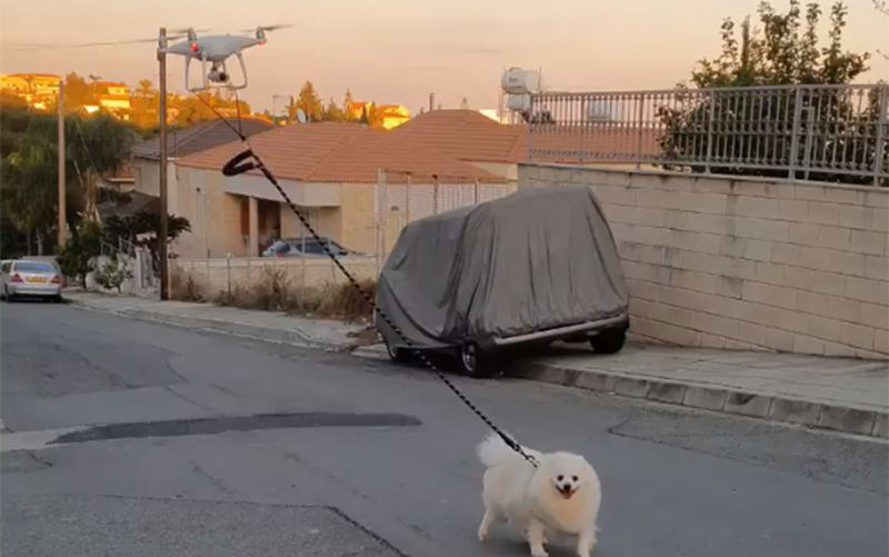 Cái khó ló cái khôn: Anh thanh niên dùng drone dắt chó đi dạo để tránh Covid-19