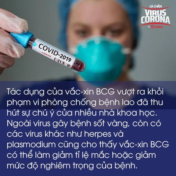 Bác sĩ BV Đa khoa Xanh Pôn: Vắc-xin phòng lao liệu có ngăn ngừa được virus SARS-CoV-2? - Ảnh 4.