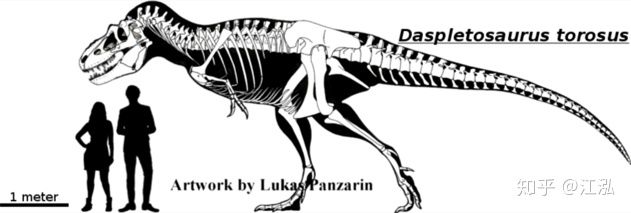 Nghiên cứu mới cho thấy khủng long bạo chúa Tyrannosaurus dựa vào giác quan thứ sáu để yêu? - Ảnh 3.