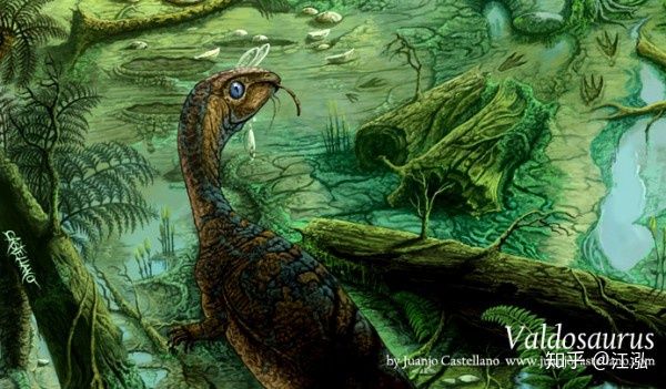 Úc phát hiện ra hóa thạch khủng long biến thành đá quý - Ảnh 9.