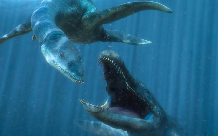 Predator X: Quái vật biển cả đáng sợ nhất kỷ Jura