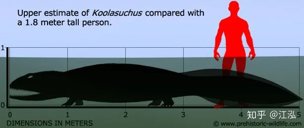 100 triệu năm trước Nam Cực từng tồn tại loài kì nhông có thân hình còn to lớn hơn cả một chiếc xe ô tô - Ảnh 5.