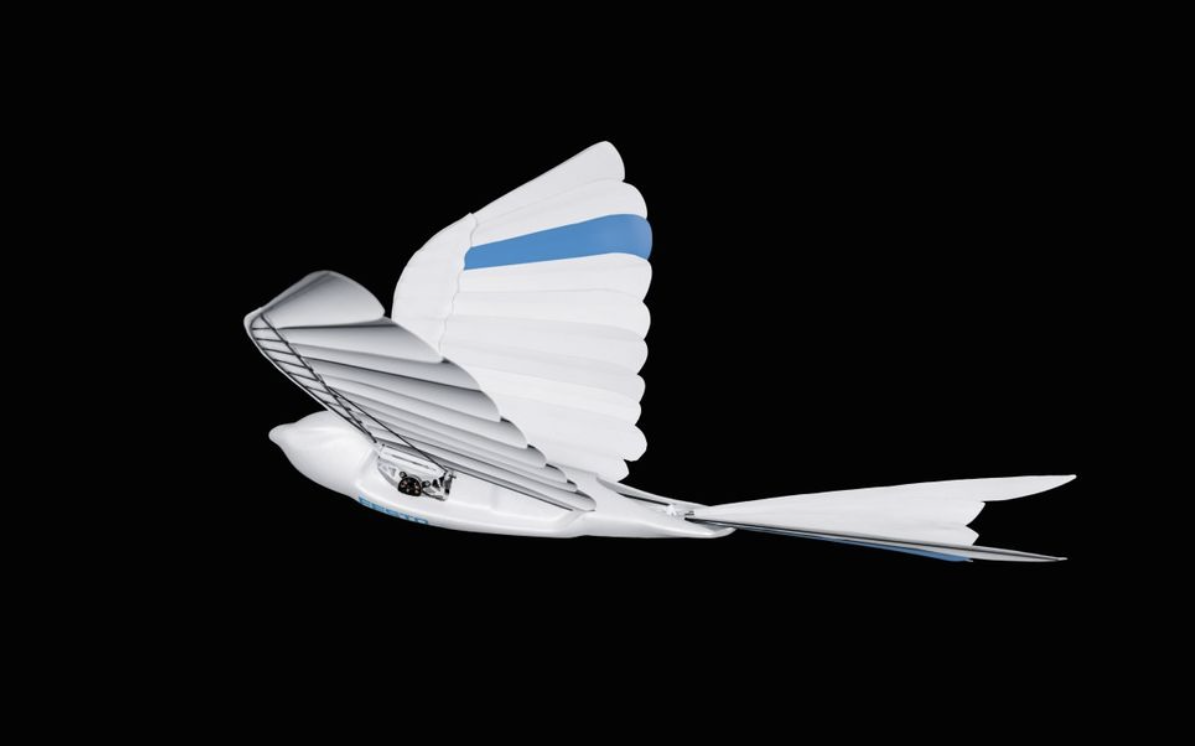 Drone xưa rồi, thời đại của chim robot đã đến