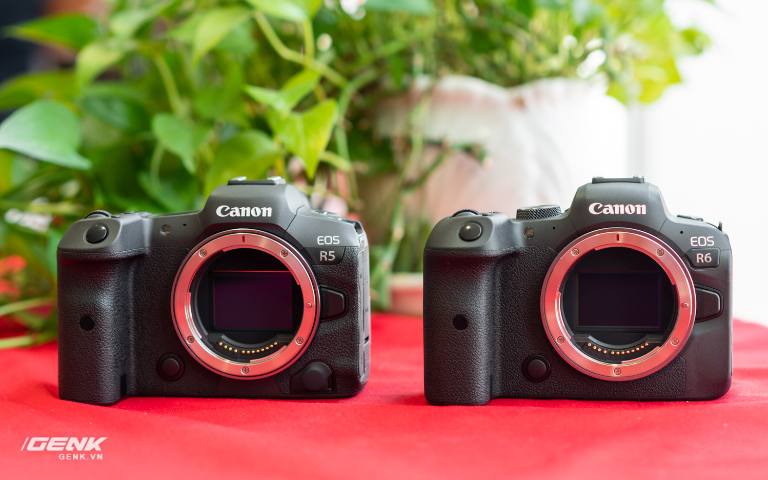 Trên tay bộ đôi máy ảnh Canon EOS R5 và R6: Cấu hình video mạnh mẽ, giá khá cao