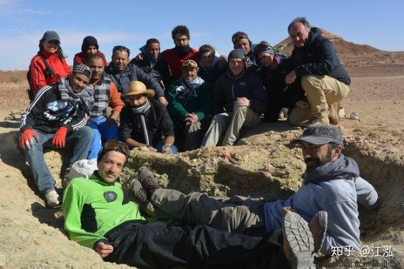 Machimosaurus rex: Loài cá sấu nước mặn to lớn nhất từng được con người phát hiện - Ảnh 4.