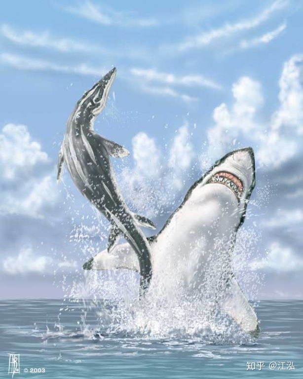 Cretoxyrhina: Loài cá mập thời tiền sử còn đáng sợ hơn cả Megalodon - Ảnh 9.