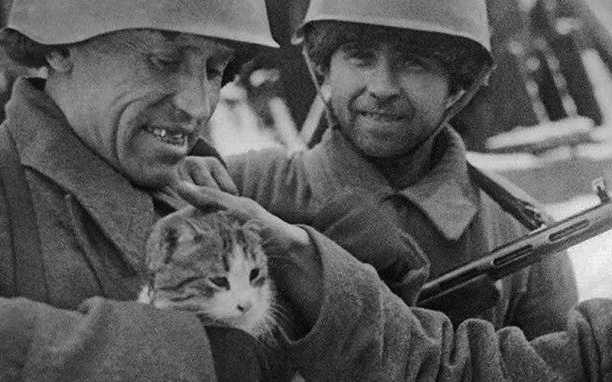 &quot;Chiến dịch thả mèo&quot;, những người lính dù đáng yêu nhất trong lịch sử được Không quân Hoàng gia Anh đích thân vận chuyển để đối phó với bệnh dịch