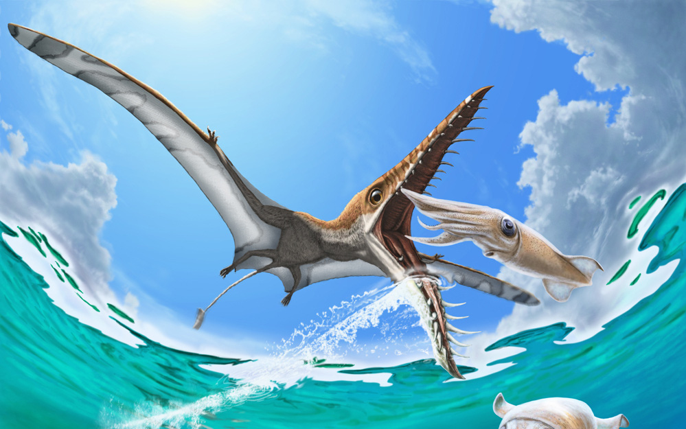 Rhamphorhynchus: Loài thằn lằn bay &quot;tí hon&quot; sở hữu hàm răng của tử thần