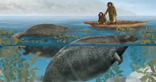 Chỉ mất 27 năm từ khi phát hiện ra đến khi tuyệt chủng, chuyện gì đã xảy ra với con vật khổng lồ dưới biển này? - Ảnh 17.