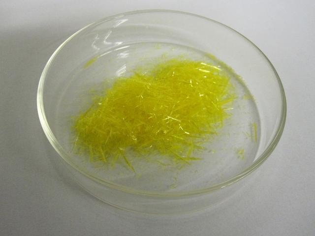 Carabidae: Loài bọ tí hon có thể thả ra những quả bom nhiệt lên tới gần 100 độ C - Ảnh 3.