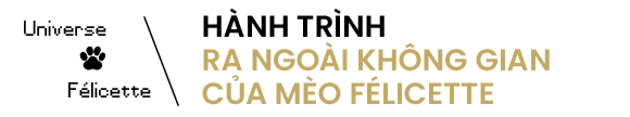 Mèo cũng đã từng vào không gian, và tên "cô bé" là Félicette - Ảnh 4.