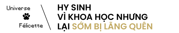 Mèo cũng đã từng vào không gian, và tên "cô bé" là Félicette - Ảnh 7.