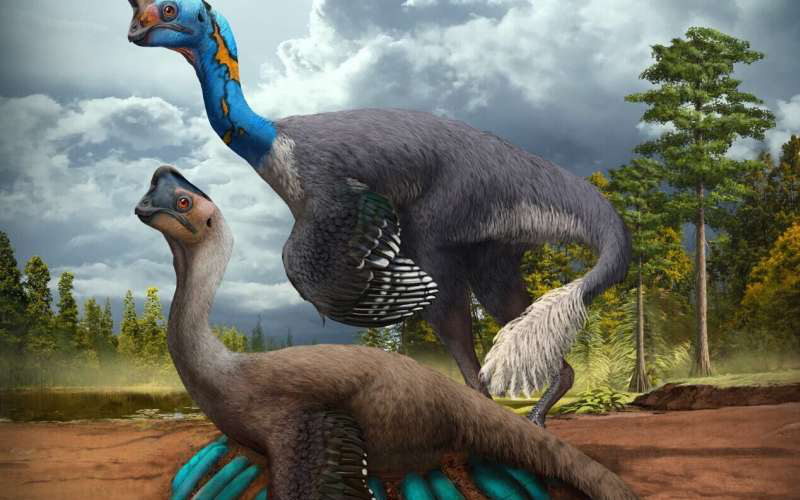 Phát hiện hóa thạch khủng long chết trong khi đang ấp trứng với những con non đang nở