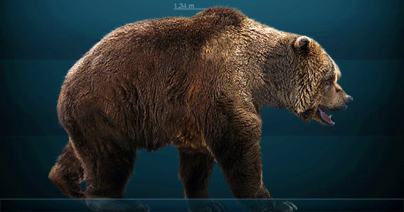 DNA 360.000 năm tuổi đã hé mở ánh sáng mới về lịch sử tiến hóa của gấu hang động - Ảnh 1.