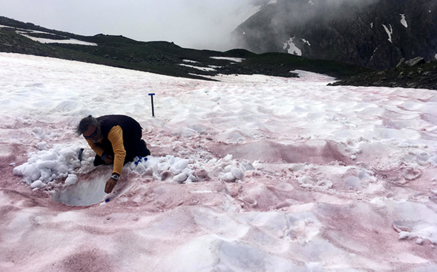 &quot;Chảy máu sông băng&quot; - hiện tượng đáng báo động đằng sau việc xuất hiện tuyết đỏ trên dãy Alps