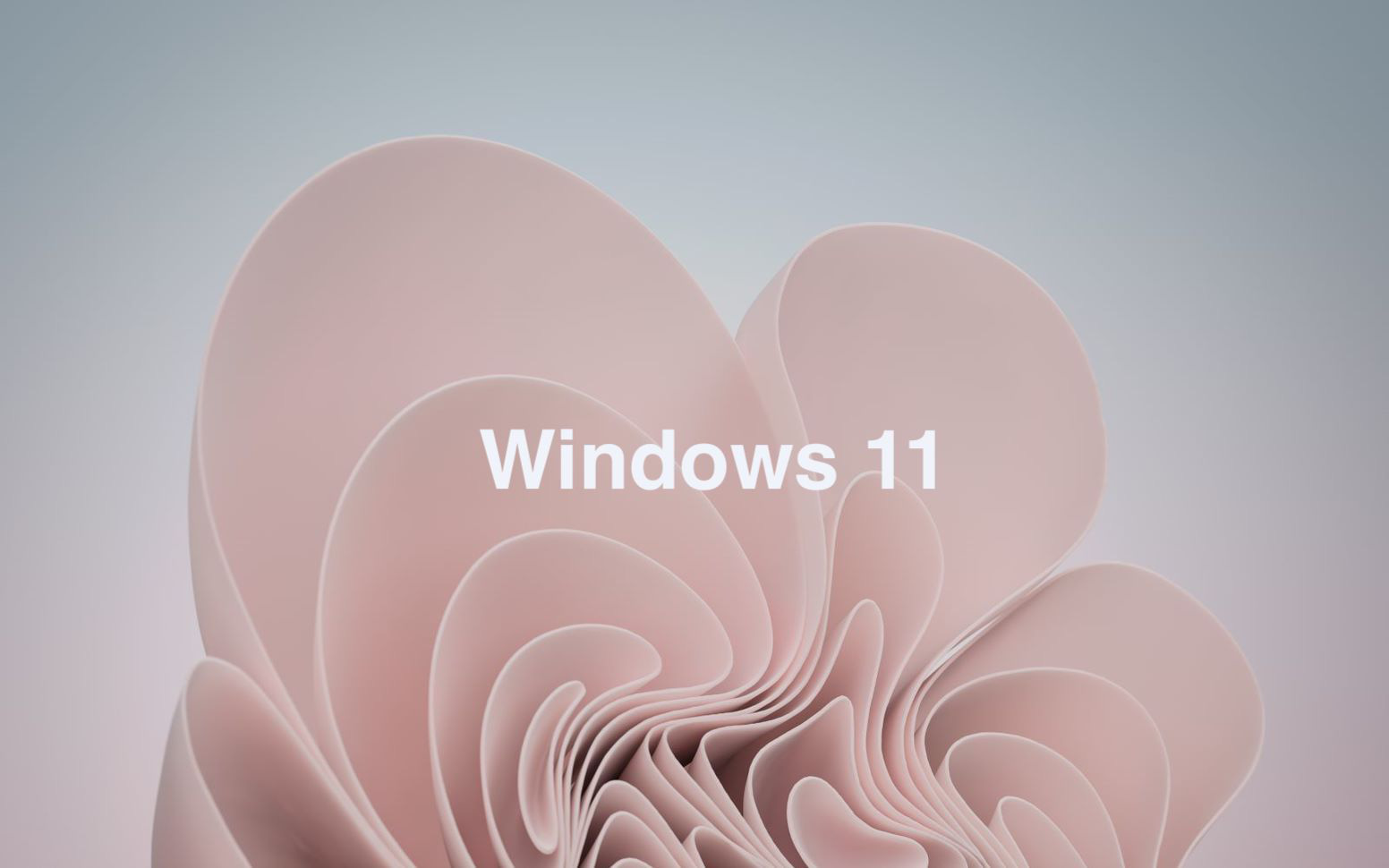 Không chỉ Windows 11, Microsoft chuẩn bị ra mắt cả Windows 11 &quot;SE&quot;