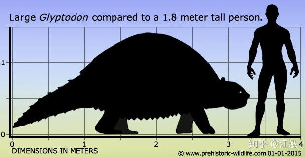 Glyptodon: Lâu đài di động ở Nam Mỹ - Ảnh 5.