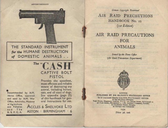 Kinh hoàng vụ thảm sát vật nuôi năm 1939 ở Anh: 750.000 thú cưng bị hóa kiếp chỉ trong 1 tuần - Ảnh 3.