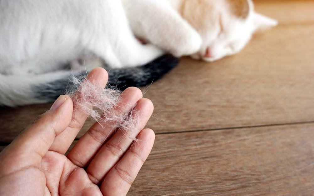 10 cách đơn giản giúp giảm bụi bặm trong nhà
