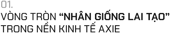 Từ vụ hack lớn nhất lịch sử crypto, cùng nhìn lại Axie Infinity - sự đột phá thực thụ hay chỉ là đa cấp dưới hình hài game? - Ảnh 1.