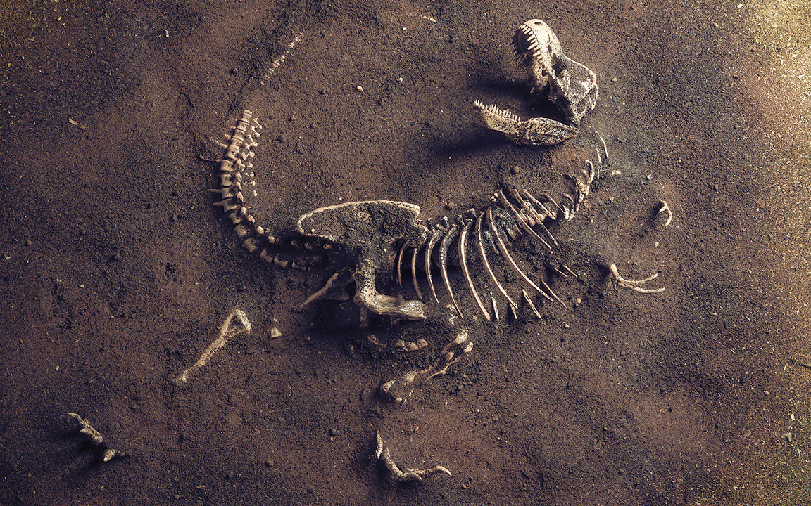 Con khủng long này đã chết vào đúng ngày tiểu hành tinh Chicxulub đâm vào Trái Đất