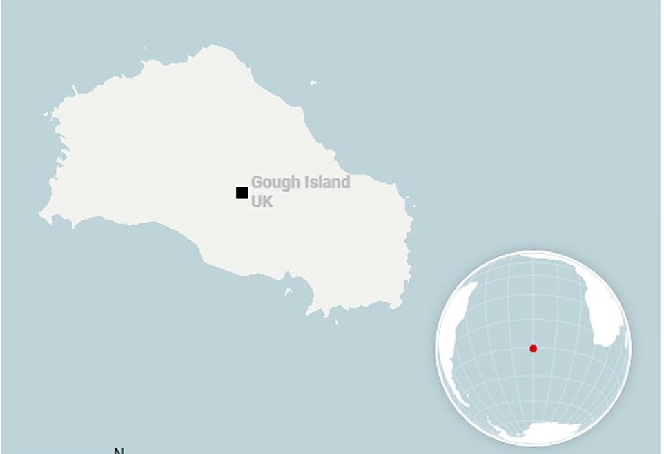 5296162-7763281-Gough_Island_is_one_of_the_world_s_most_remote_inhabited_spots_a-a-24_1575628934094.jpg
