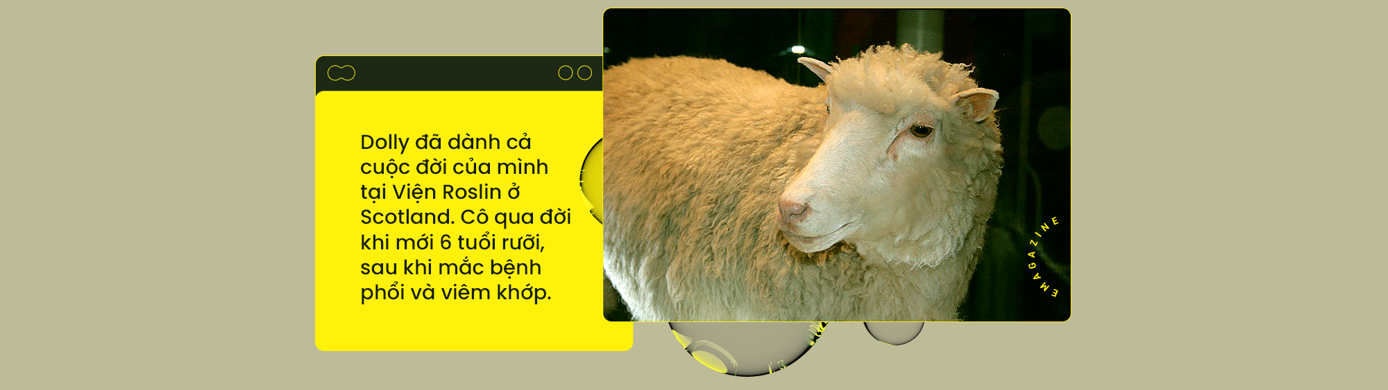 [Emag] Từ cừu Dolly đến voi ma mút: Nhân bản đã thay đổi thế giới của chúng ta như thế nào? - Ảnh 1.