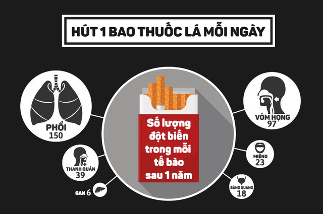 Hút mỗi ngày một bao thuốc, tại sao có những người cả đời không mắc ung thư phổi? - Ảnh 3.