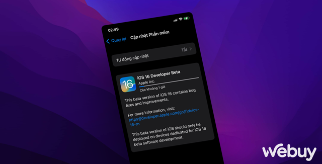 Cách hạ cấp từ iOS 16 Developer BETA xuống phiên bản thấp hơn mà không mất dữ liệu - Ảnh 1.