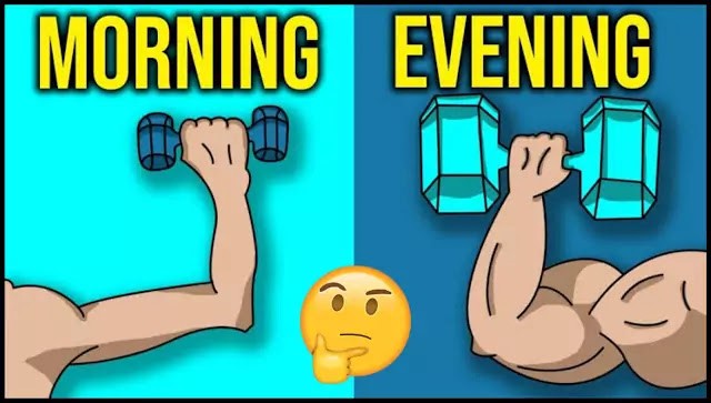 Tập thể dục để khoẻ thì lúc nào cũng được, nhưng nếu muốn giảm mỡ nhanh: Nữ nên tập sáng, nam nên tập tối - Ảnh 1.
