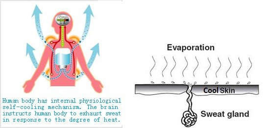 Thời tiết nóng như thể chúng ta đang ở trong một cái nồi hấp khổng lồ - Ảnh 9.