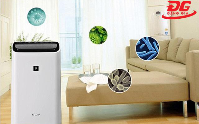 Tư vấn, lựa chọn mua máy hút ẩm lọc không khí tối ưu chi phí