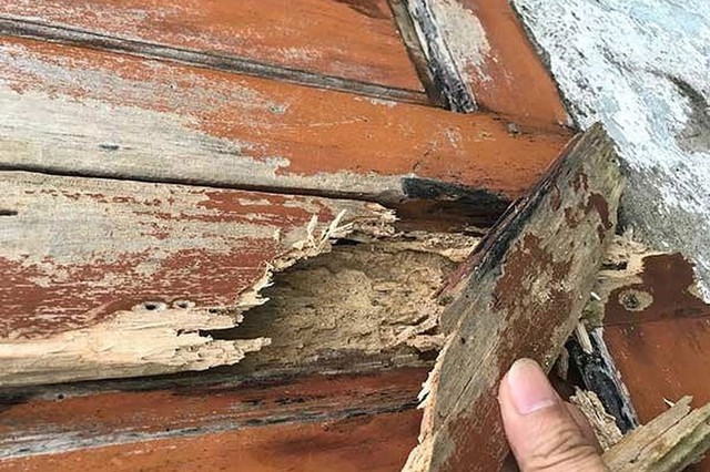 Kiến trúc sư phân tích: đập cửa gỗ để thay bằng nhôm kính có phải là "bất thường" không? - Ảnh 6.