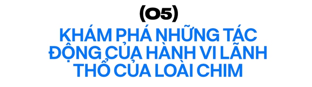 8 nghiên cứu đã thay đổi thế giới mà bạn chưa tưng nghe tới - Ảnh 11.