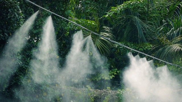 Thêm vài cách giải nhiệt cho nhà cửa, có nắng nóng đỉnh điểm cũng đỡ sợ - Ảnh 3.