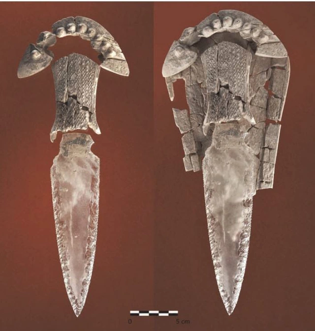 Dao găm pha lê, "ma thuật" 5.000 năm tuổi được tìm thấy tại Tây Ban Nha - Ảnh 1.