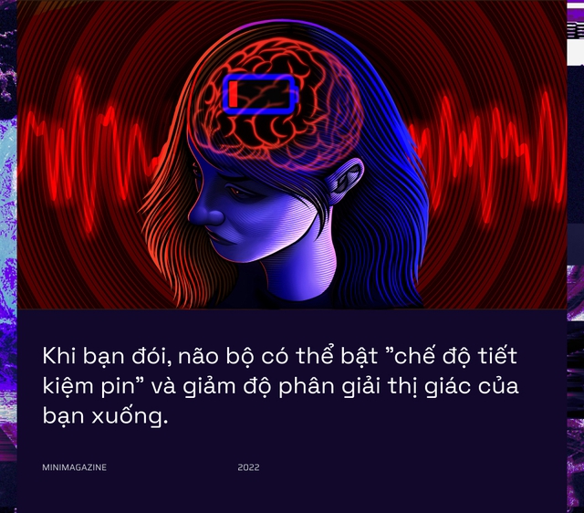 Khi bạn đói, não bộ có thể bật &quot;chế độ tiết kiệm pin&quot; và giảm độ phân giải thị giác của bạn xuống - Ảnh 1.