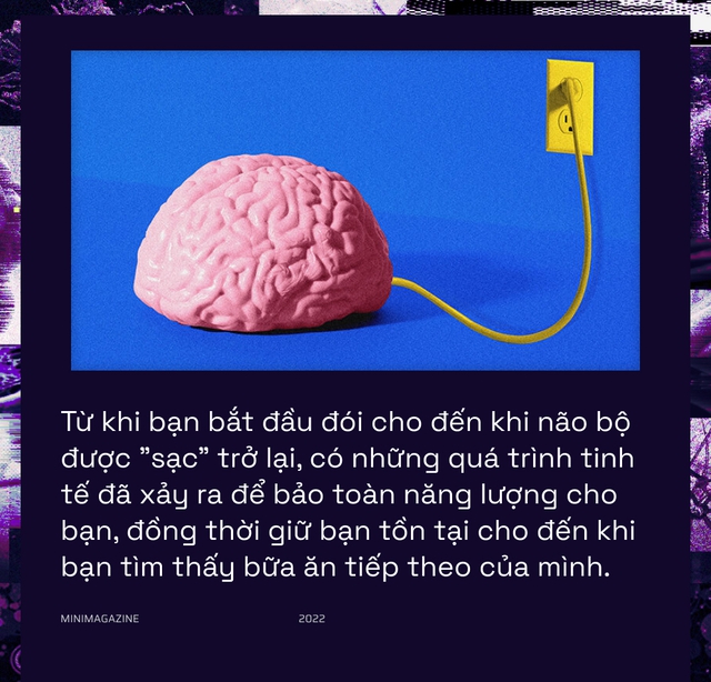 Khi bạn đói, não bộ có thể bật &quot;chế độ tiết kiệm pin&quot; và giảm độ phân giải thị giác của bạn xuống - Ảnh 14.