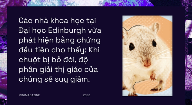 Khi bạn đói, não bộ có thể bật &quot;chế độ tiết kiệm pin&quot; và giảm độ phân giải thị giác của bạn xuống - Ảnh 2.