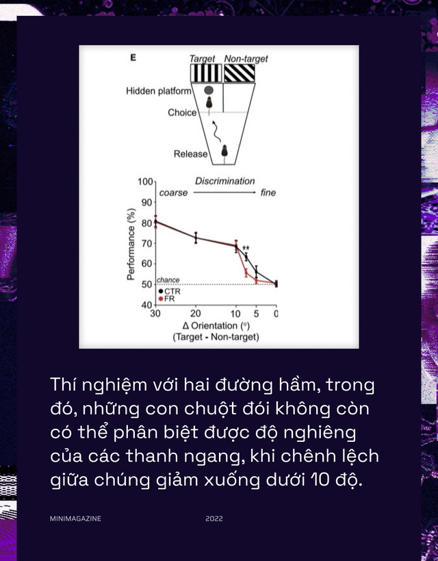 Khi bạn đói, não bộ có thể bật &quot;chế độ tiết kiệm pin&quot; và giảm độ phân giải thị giác của bạn xuống - Ảnh 9.