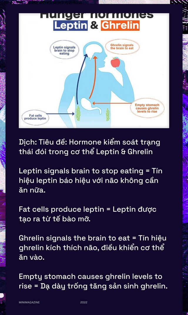 Khi bạn đói, não bộ có thể bật &quot;chế độ tiết kiệm pin&quot; và giảm độ phân giải thị giác của bạn xuống - Ảnh 11.