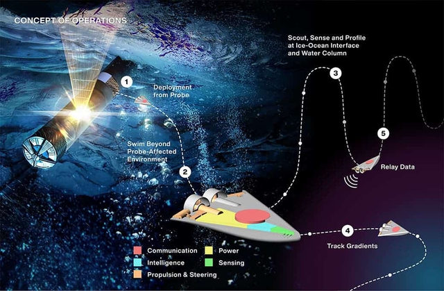 NASA muốn xây dựng một bầy robot nhỏ bé hình nêm để tìm kiếm sự sống trên những thế giới xa xôi - Ảnh 1.