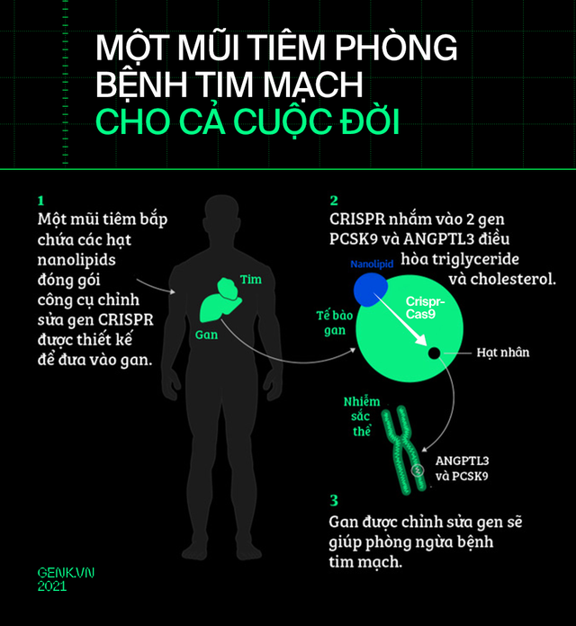 [mini] Tròn một thập kỷ CRISPR: Từ nghiên cứu bị lãng quên đến giải Nobel kiến tạo kỷ nguyên mới - Ảnh 15.