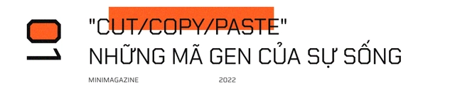 Tròn một thập kỷ CRISPR: Từ nghiên cứu bị lãng quên đến giải Nobel kiến tạo kỷ nguyên mới - Ảnh 3.