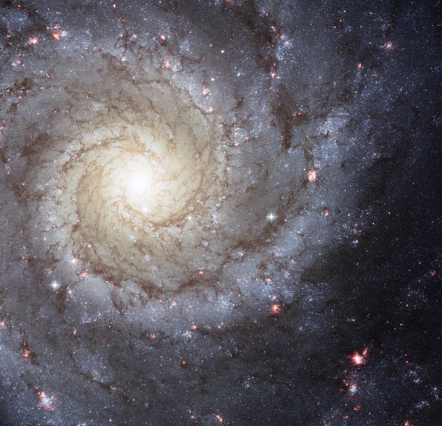 Kính viễn vọng Không gian James Webb &quot;tình cờ&quot; phát hiện vòng xoáy bí ẩn của thiên hà màu tím trong vũ trụ của chúng ta! - Ảnh 4.