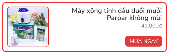 Hà Nội mùa này vừa nóng vừa ẩm nhà toàn muỗi làm gì cho đỡ? - Ảnh 2.