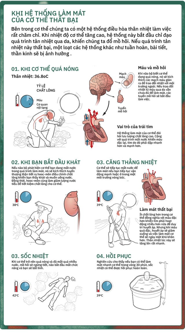 Thời tiết nóng như thể chúng ta đang ở trong một cái nồi hấp khổng lồ - Ảnh 13.